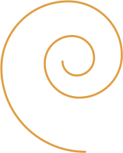 Our Latest Blog & News